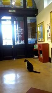 Oswald the museum cat welcomes you to the Stirling Smith